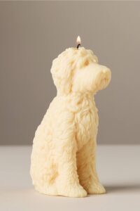 Anthropologie golden doodle candle