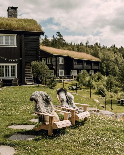 norway option 2